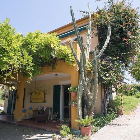 B&B La Casa Dei Gelsi โลอาโน ภายนอก รูปภาพ